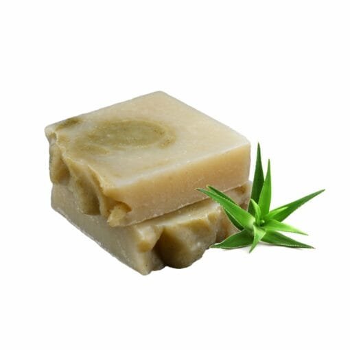 Aloe Vera Sabun - Görsel 2
